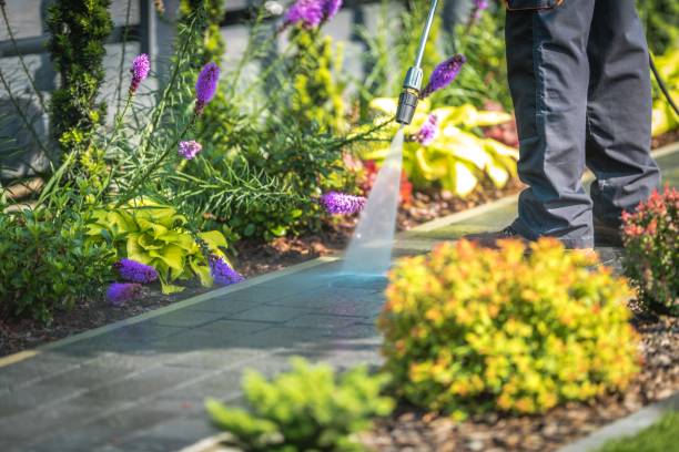 Trusted Quincy, FL Pressure Washing Experts