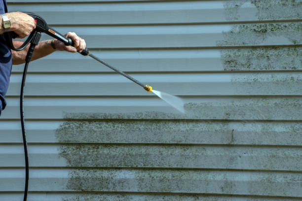 Best Solar Panel Cleaning  in Quincy, FL